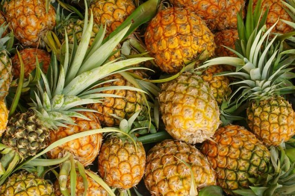 о пользе ананаса для здоровья при заболеваниях