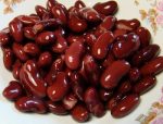 польза и вред красной фасоли для человека