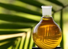 Пальмовое масло: чем вредно и чем полезно?
